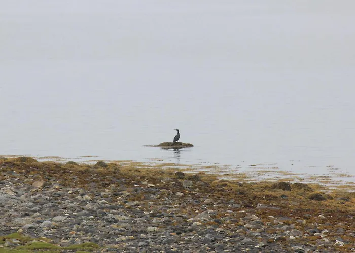 The Lighthouse Keepers House Feriehus