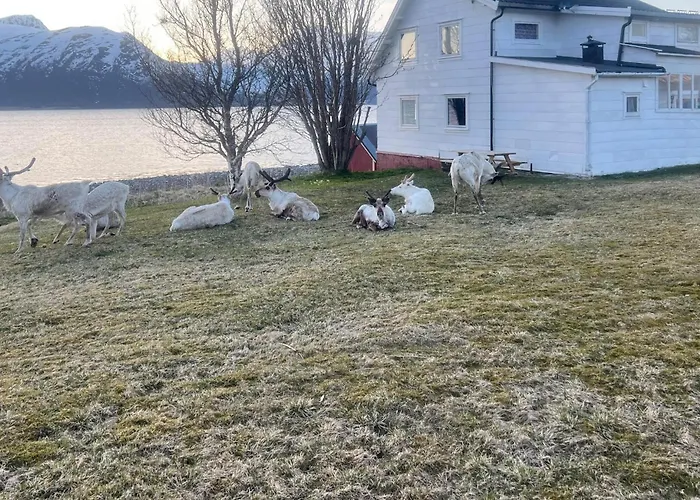 The Lighthouse Keepers House * Krokelvdalen
